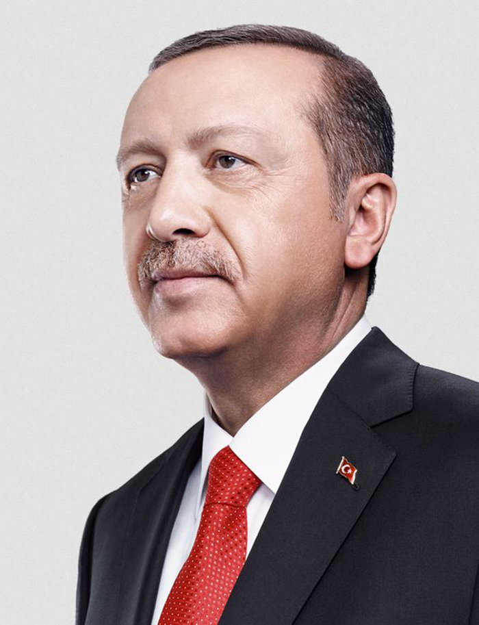 Cumhurbaskaninin Takdigi Dalgali Bayrak Rozeti