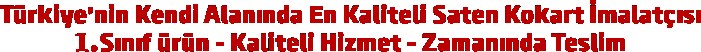 24 KASIM ÖĞRETMENLER GÜNÜ KOKARTI - SATEN YAKA KOKARTI