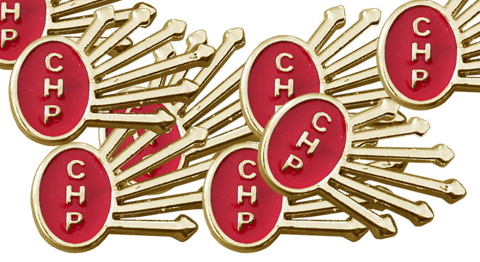 CHP01 - CHP Döküm 6 Ok Yaka Rozeti