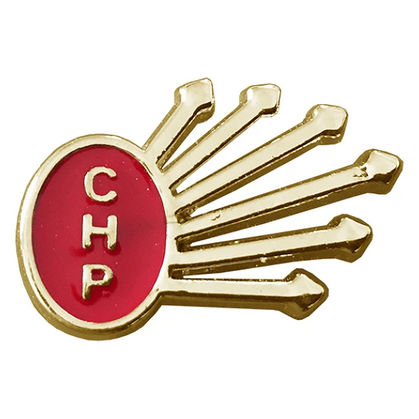 CHP Yaka Rozeti Model ve Çeşitleri - Seçim Rozetleri